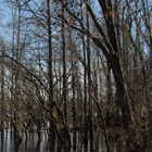 Ecosystems Investigations Program Video