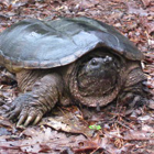 Ecosystems Investigations Program Staff