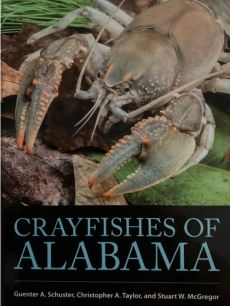 Crayfishes of Alabama